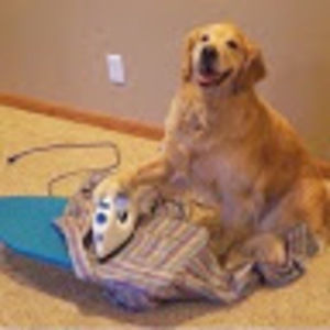 Meet your Posher, Luciana